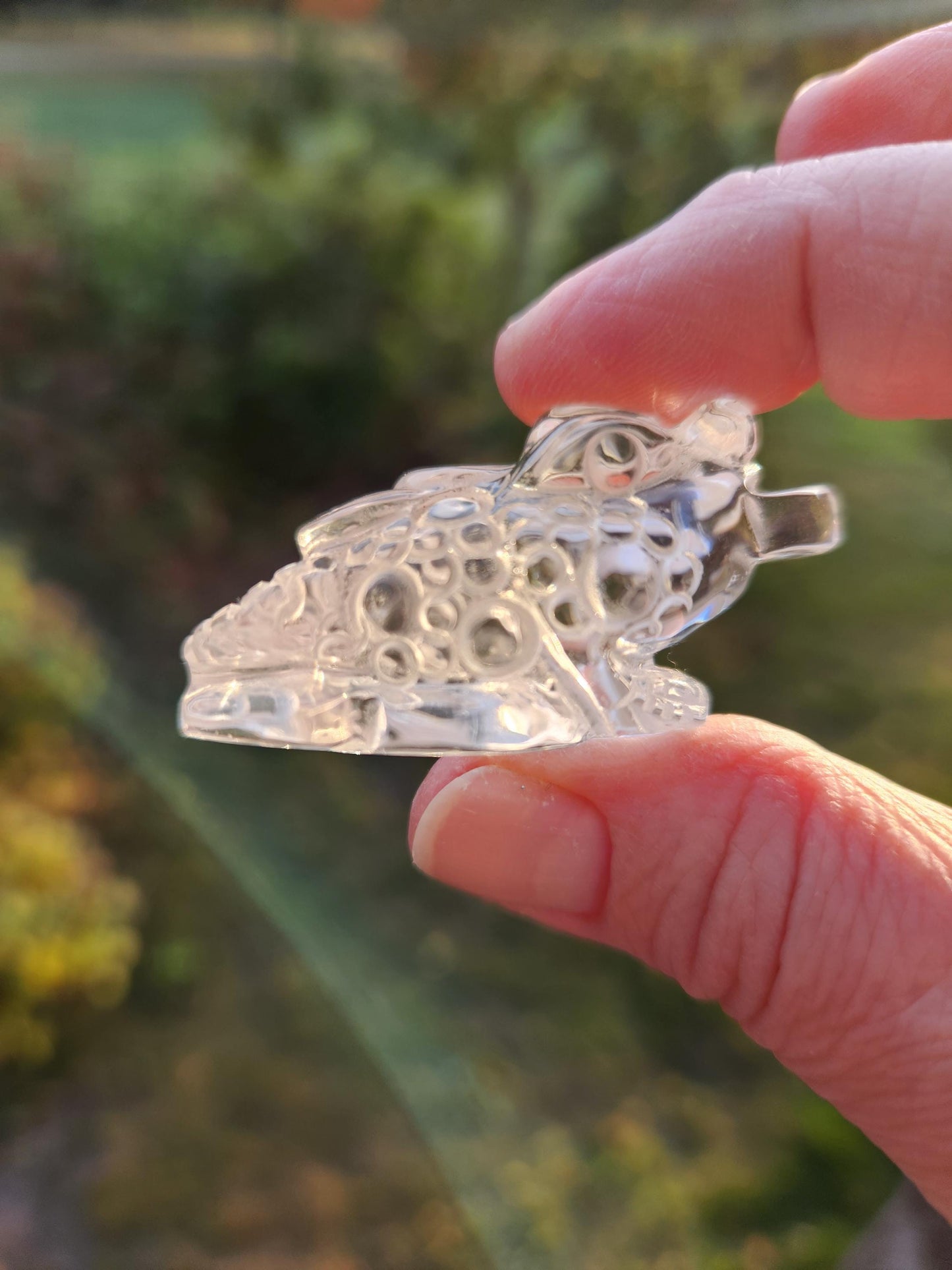 Clear Quartz Carved Crystal Small Money Toad