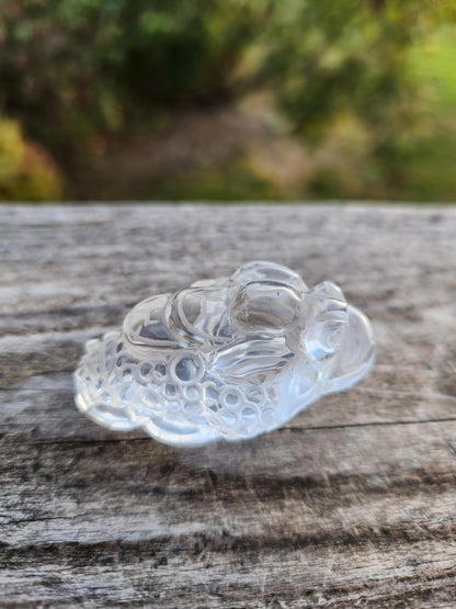 Clear Quartz Carved Crystal Small Money Toad