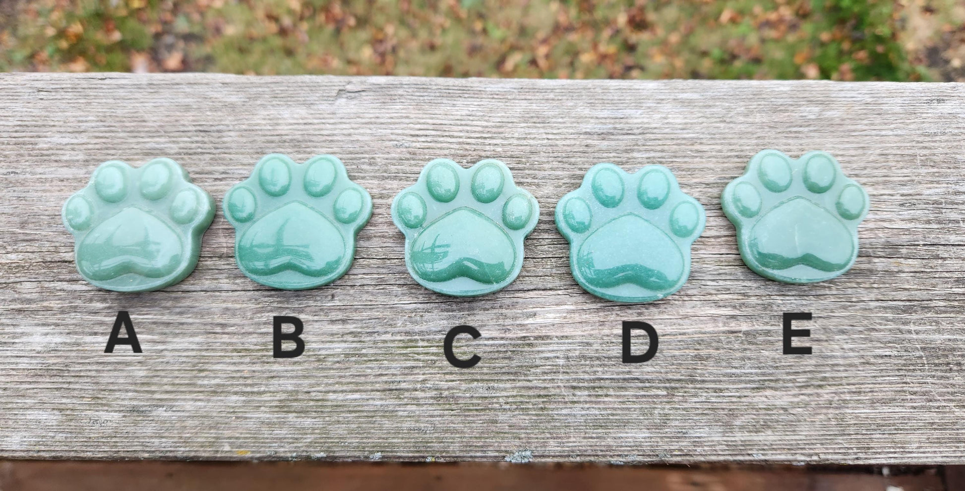 Green Aventurine Crystal Paw: Buttery Smooth Carved Stone, One