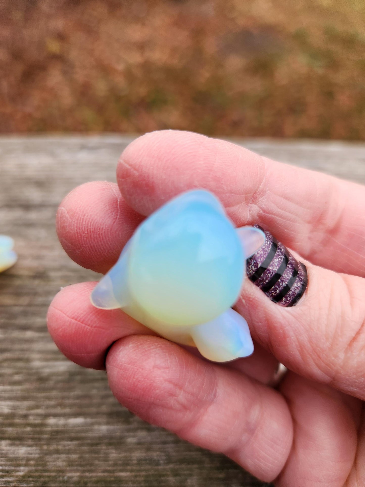 Cute Small Opalite Charmander, Pokémon, One