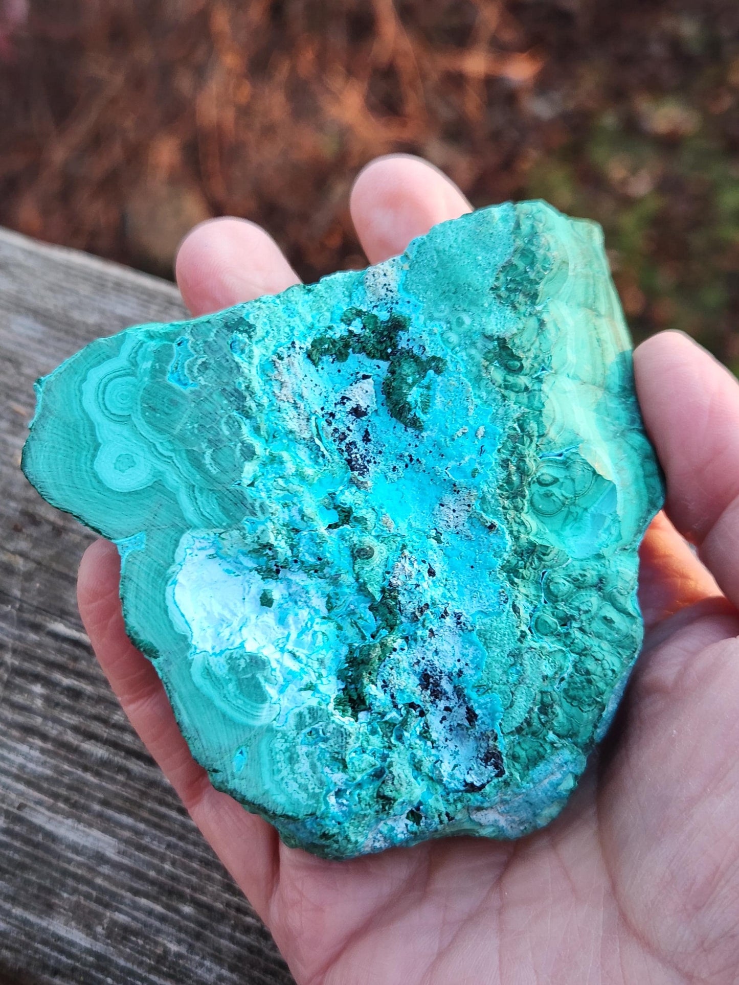 AAA Malachite Chrysocolla Crystal, Free Form, Rare