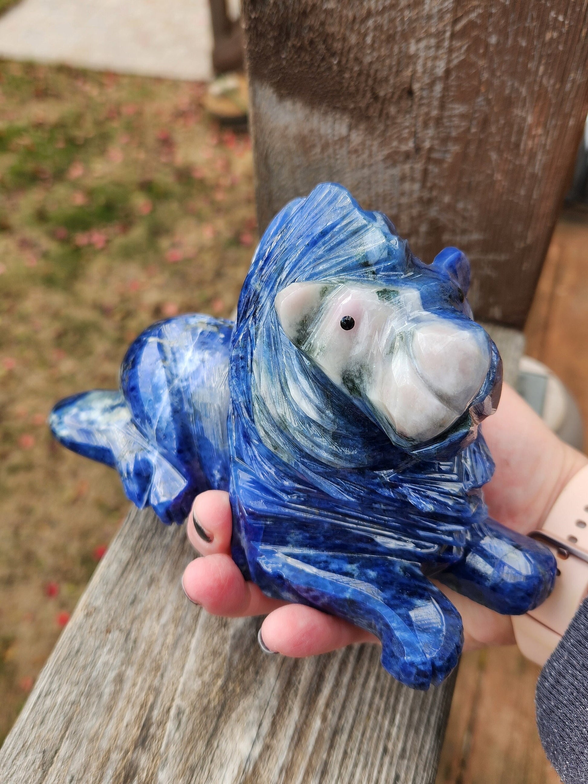 Regal AAA Master Carved Sodalite Lion Crystal Statue. Leo