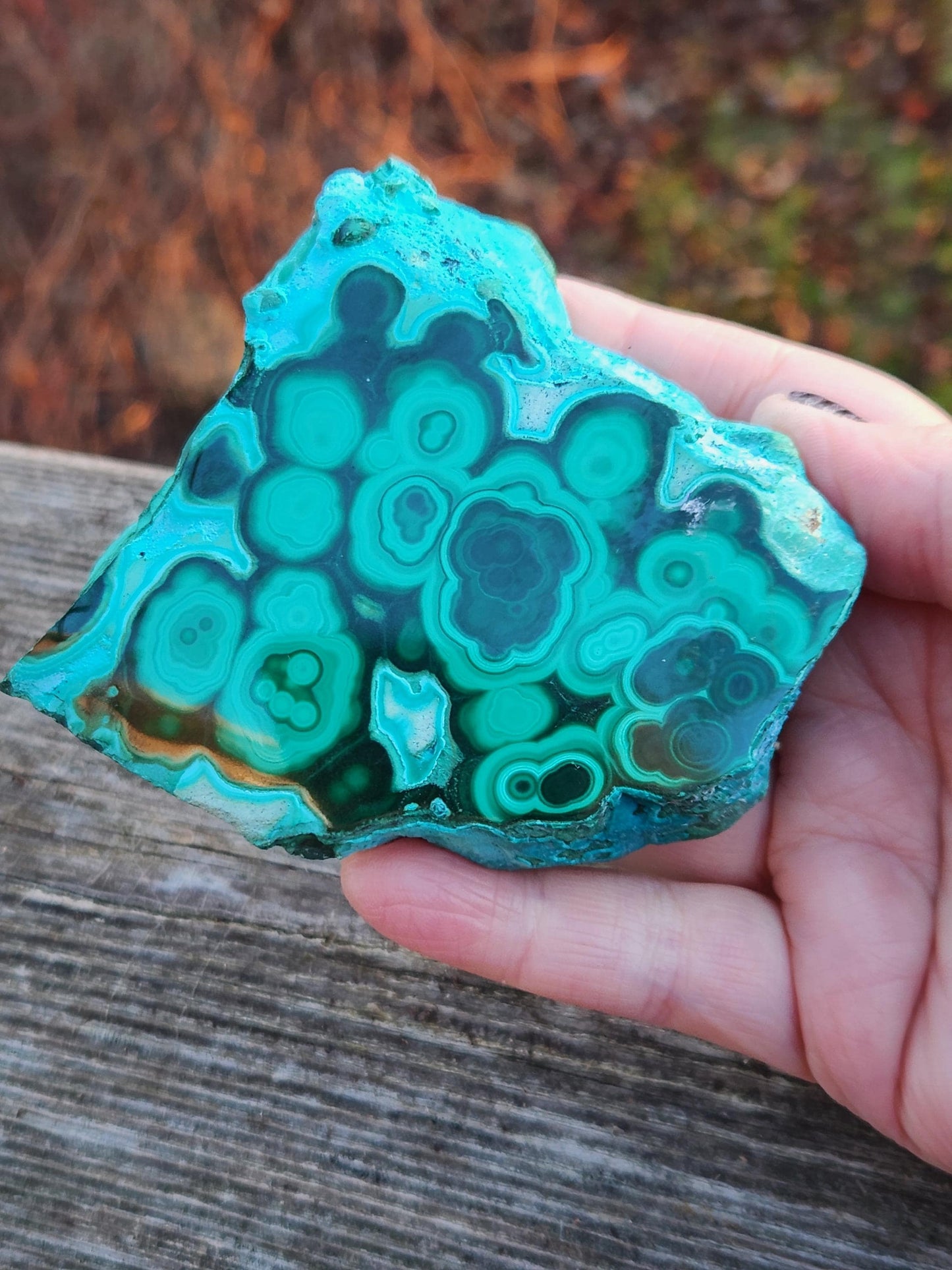 AAA Malachite Chrysocolla Crystal, Free Form, Rare