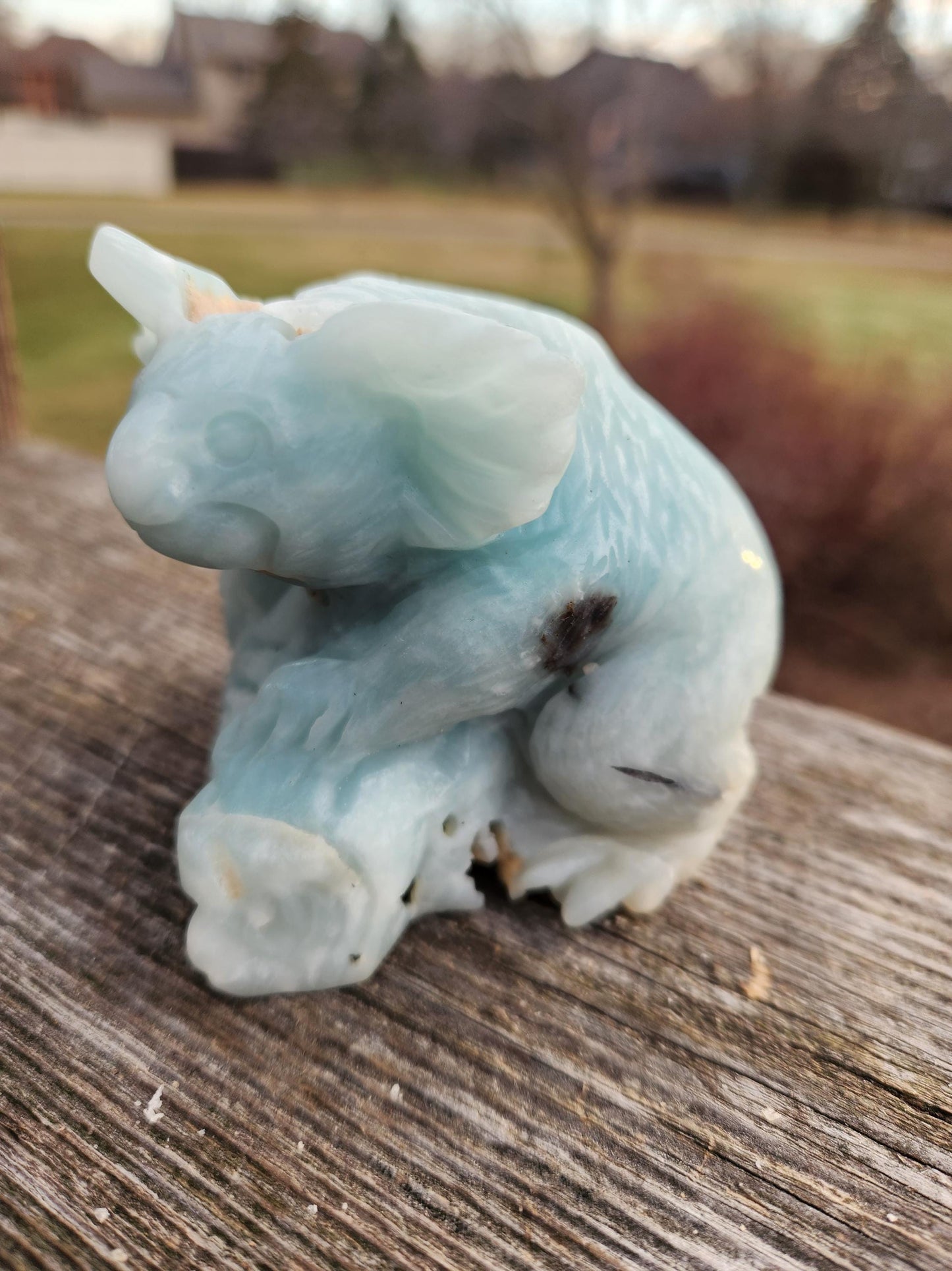 Blue Aragonite Crystal Koala Bear Carving