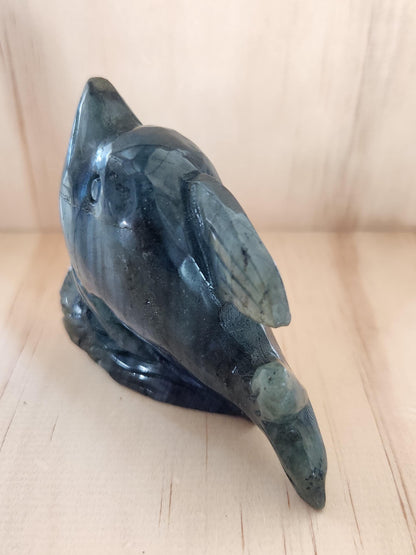 Very Unique & Rare Labradorite Small Dolphin Carved Crystal with Blue flash, Ocean Carving