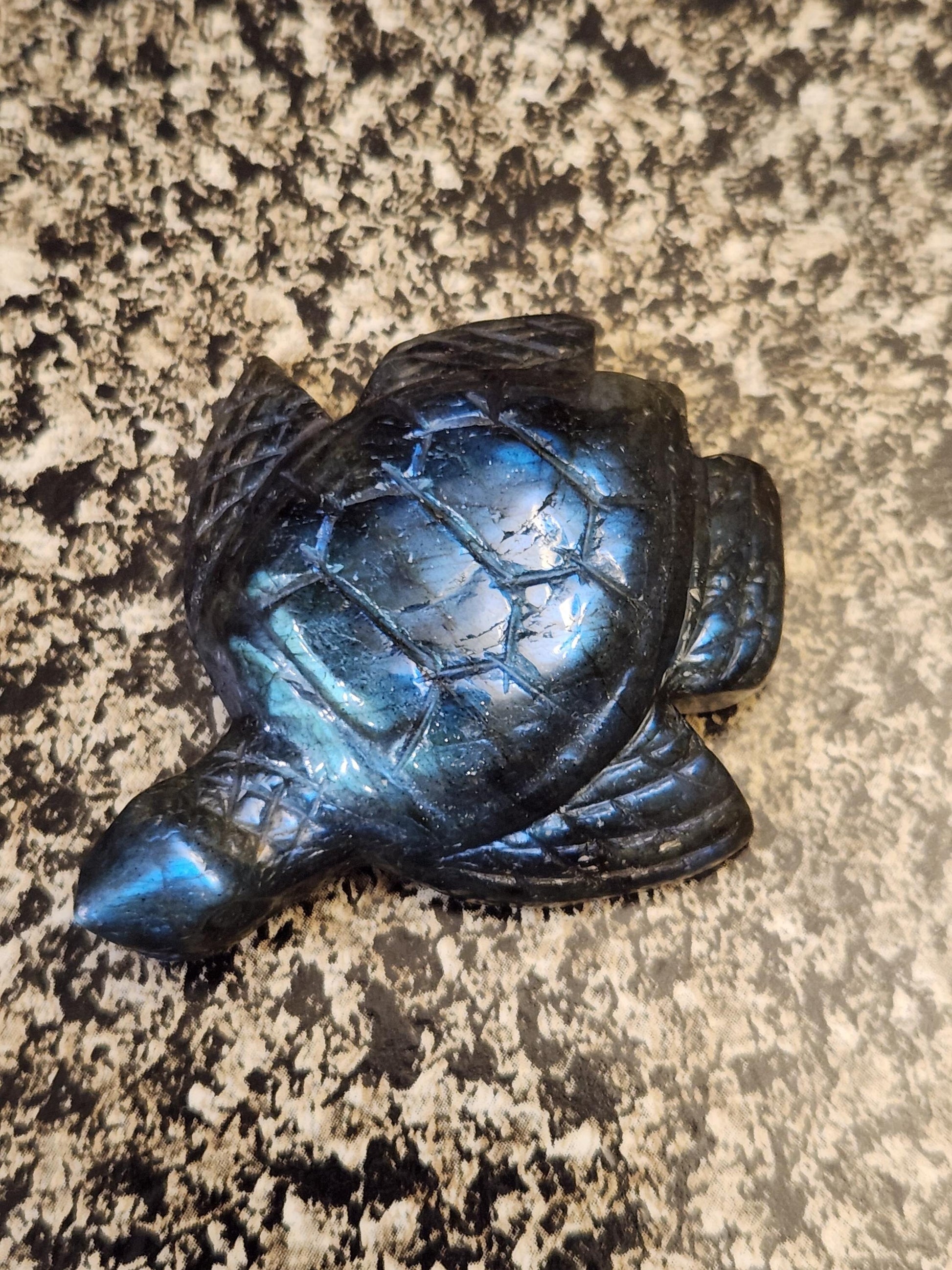 Labradorite Turtle Carving: Blue Flash Crystal, Ocean Decor