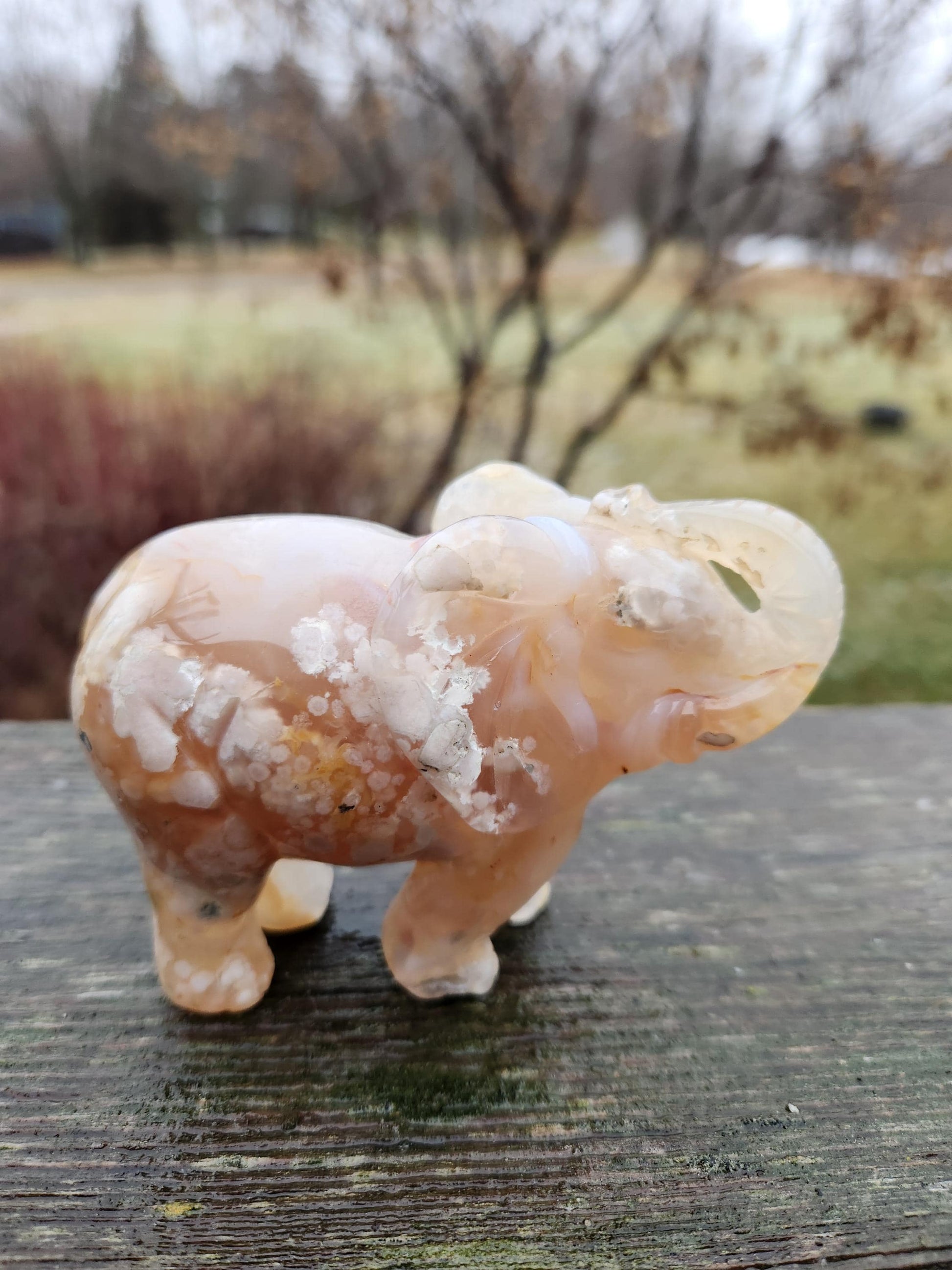 Carved Flower Agate Elephant: High Polished Crystal Stone