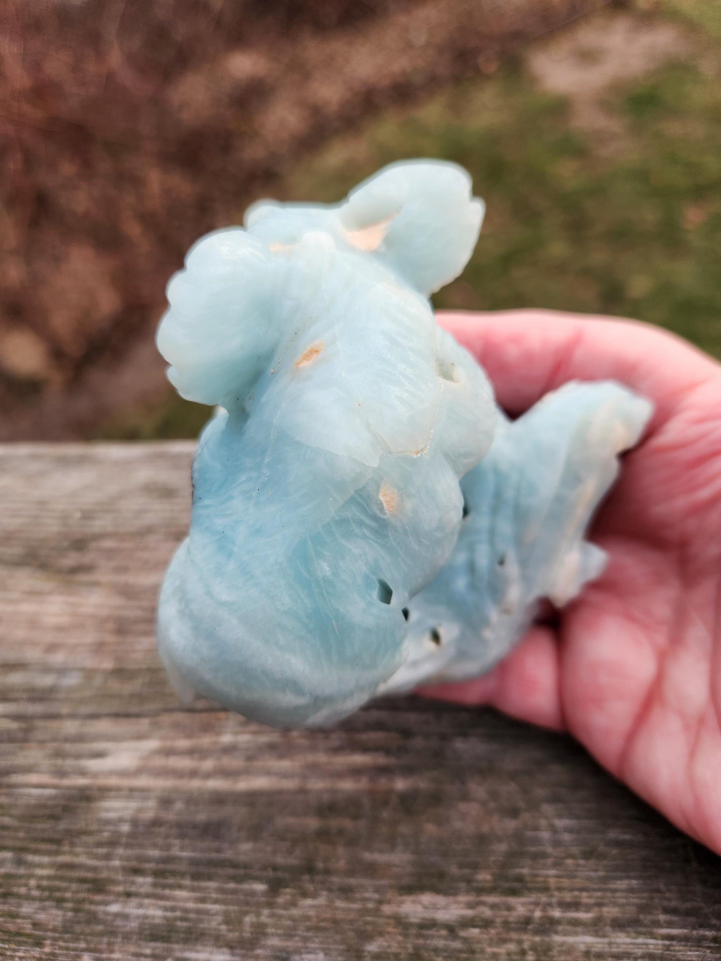 Blue Aragonite Crystal Koala Bear Carving