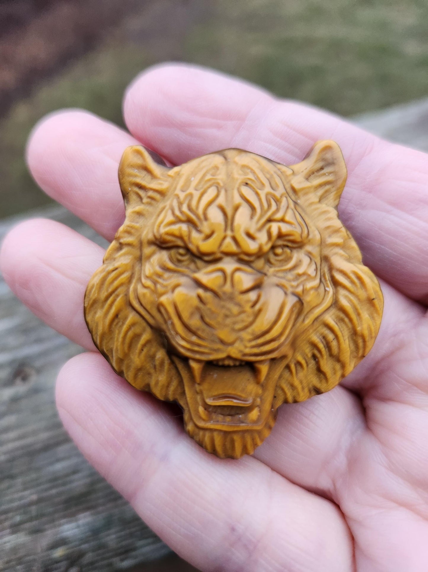 Tiger's Eye Crystal Tiger Head Carving: Hand Carved Coin
