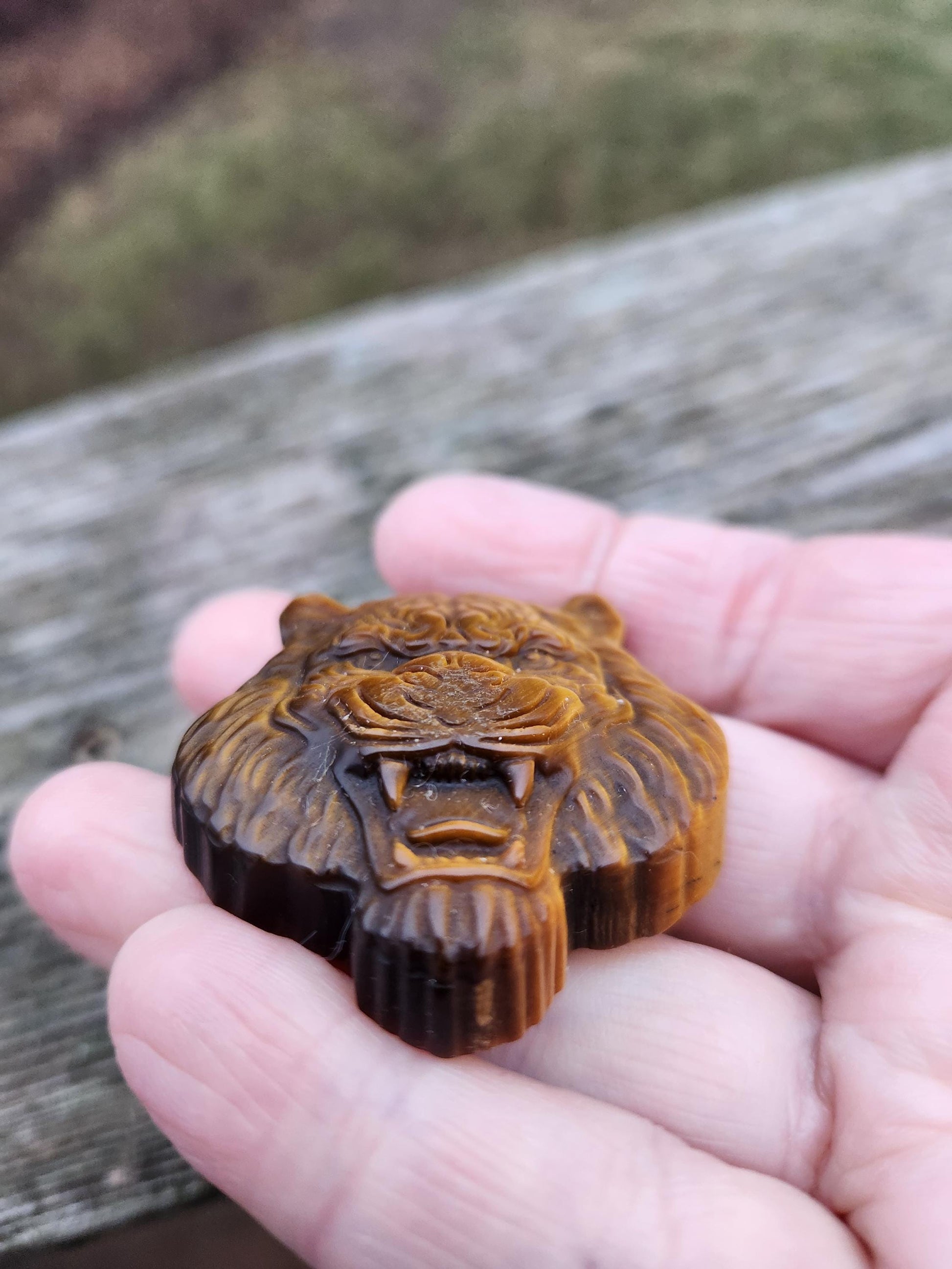Tiger's Eye Crystal Tiger Head Carving: Hand Carved Coin