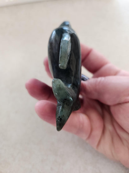 Very Unique & Rare Labradorite Small Dolphin Carved Crystal with Blue flash, Ocean Carving