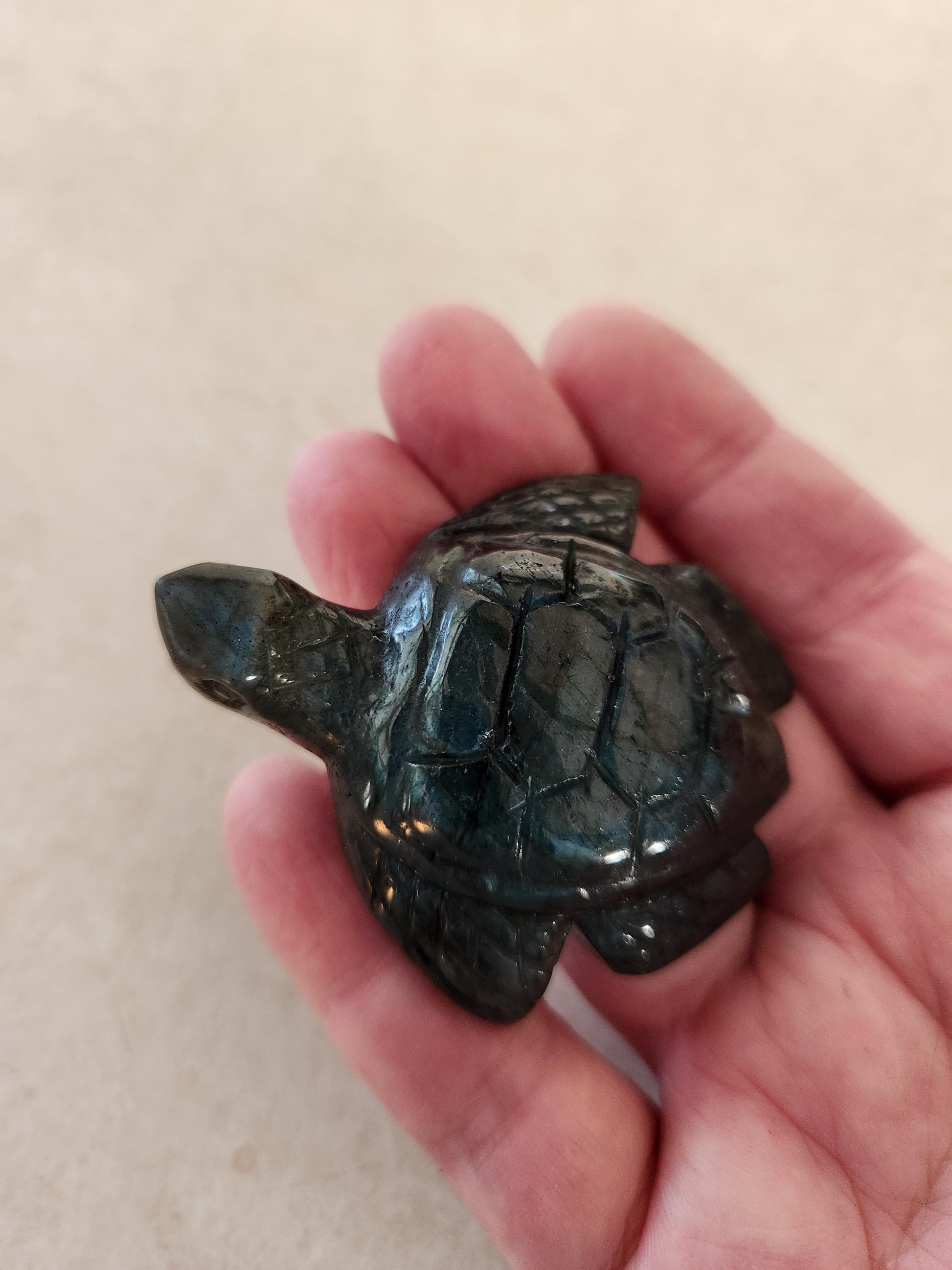 Labradorite Turtle Carving: Blue Flash Crystal, Ocean Decor