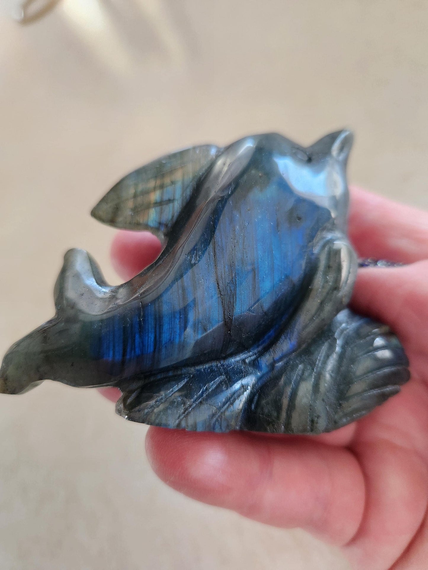 Very Unique & Rare Labradorite Small Dolphin Carved Crystal with Blue flash, Ocean Carving