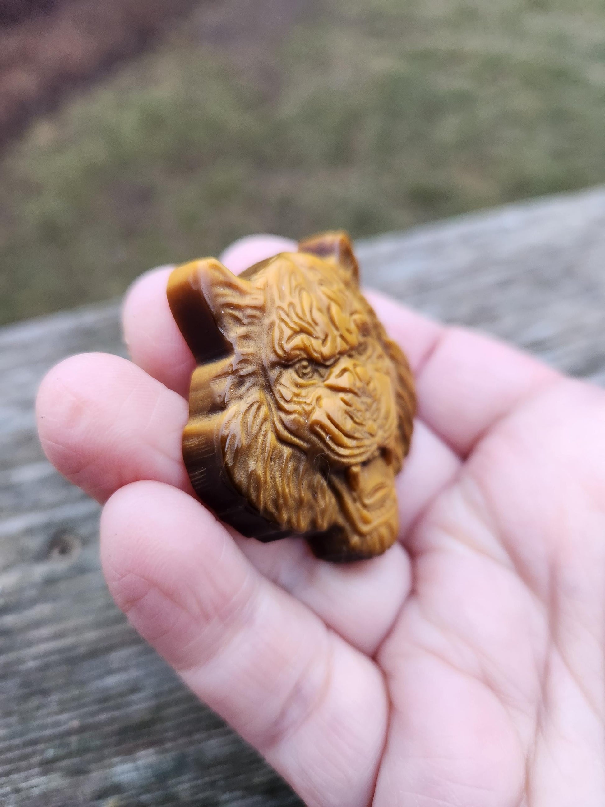 Tiger's Eye Crystal Tiger Head Carving: Hand Carved Coin