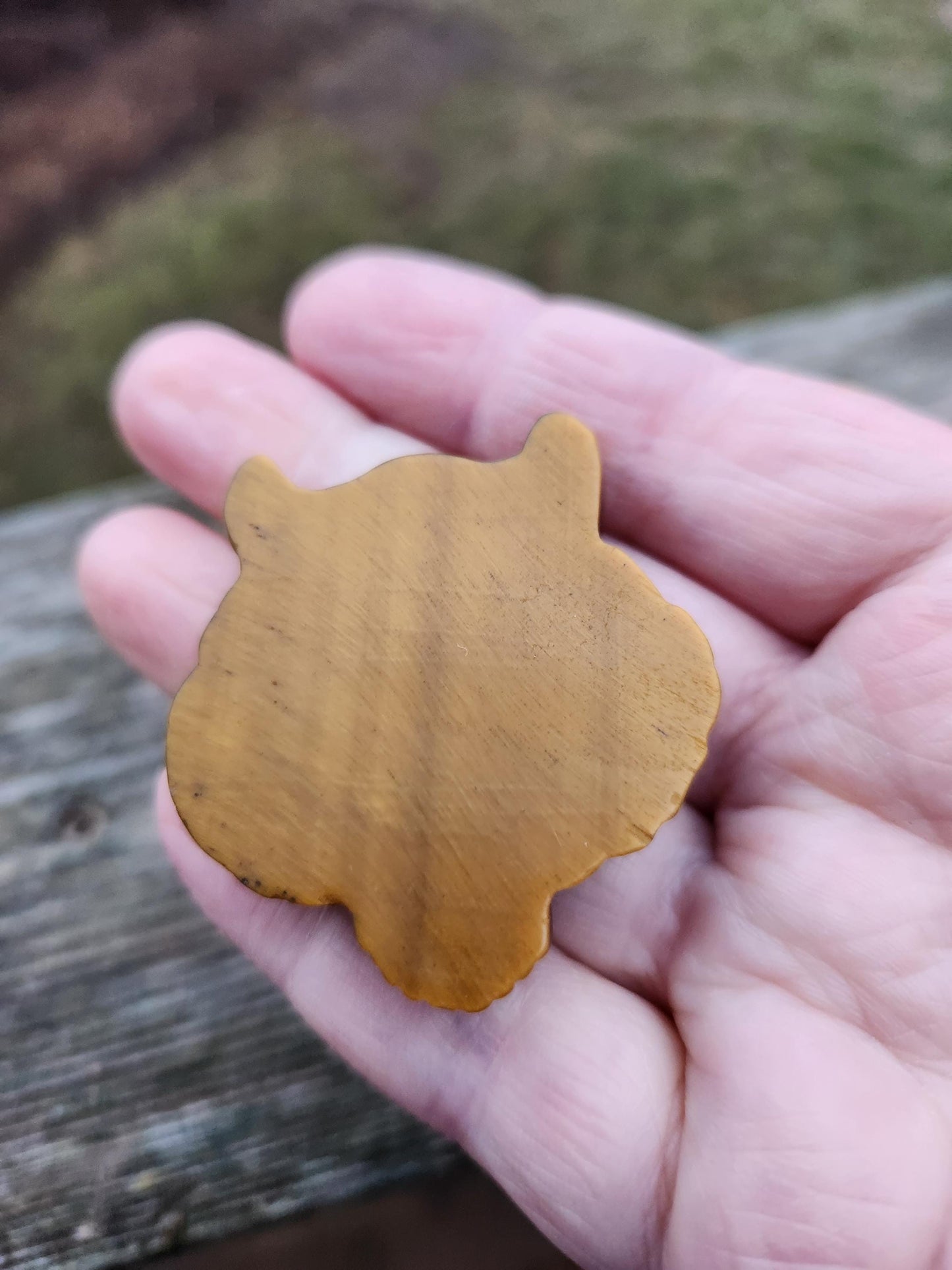 Tiger's Eye Crystal Tiger Head Carving: Hand Carved Coin