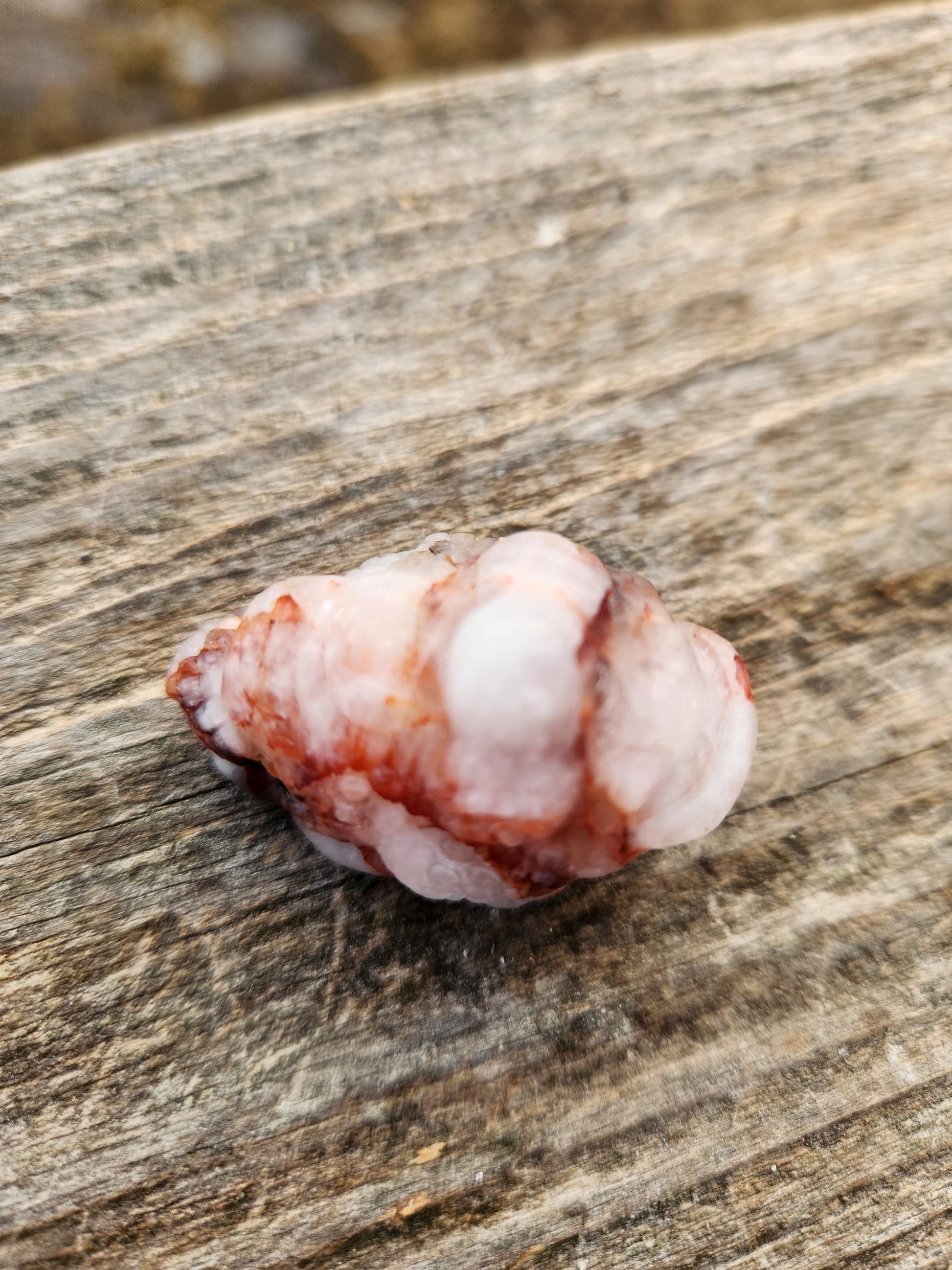 Pocket Sized Fire Quartz Crystal Money Toad All Natural, Extra Small