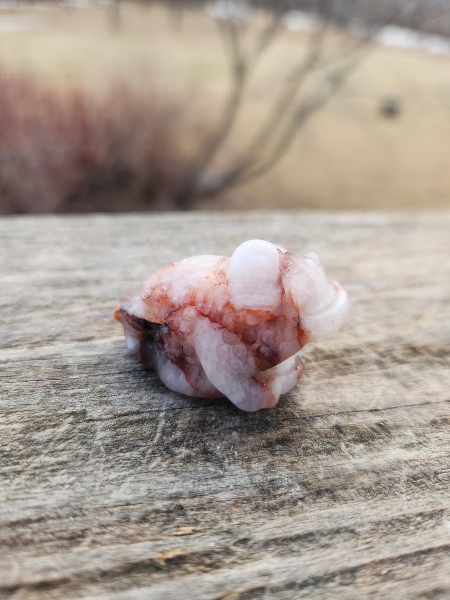 Pocket Sized Fire Quartz Crystal Money Toad All Natural, Extra Small
