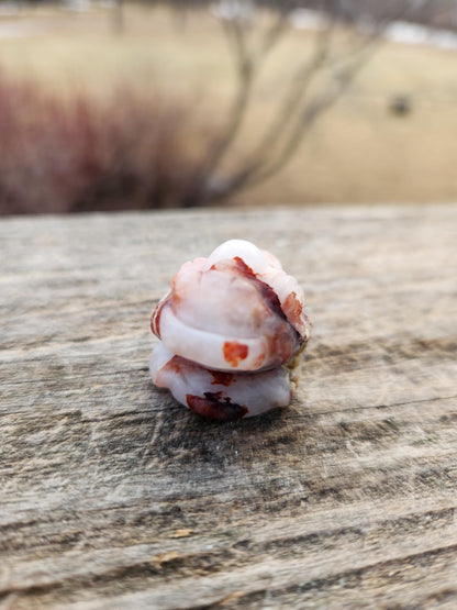 Pocket Sized Fire Quartz Crystal Money Toad All Natural, Extra Small
