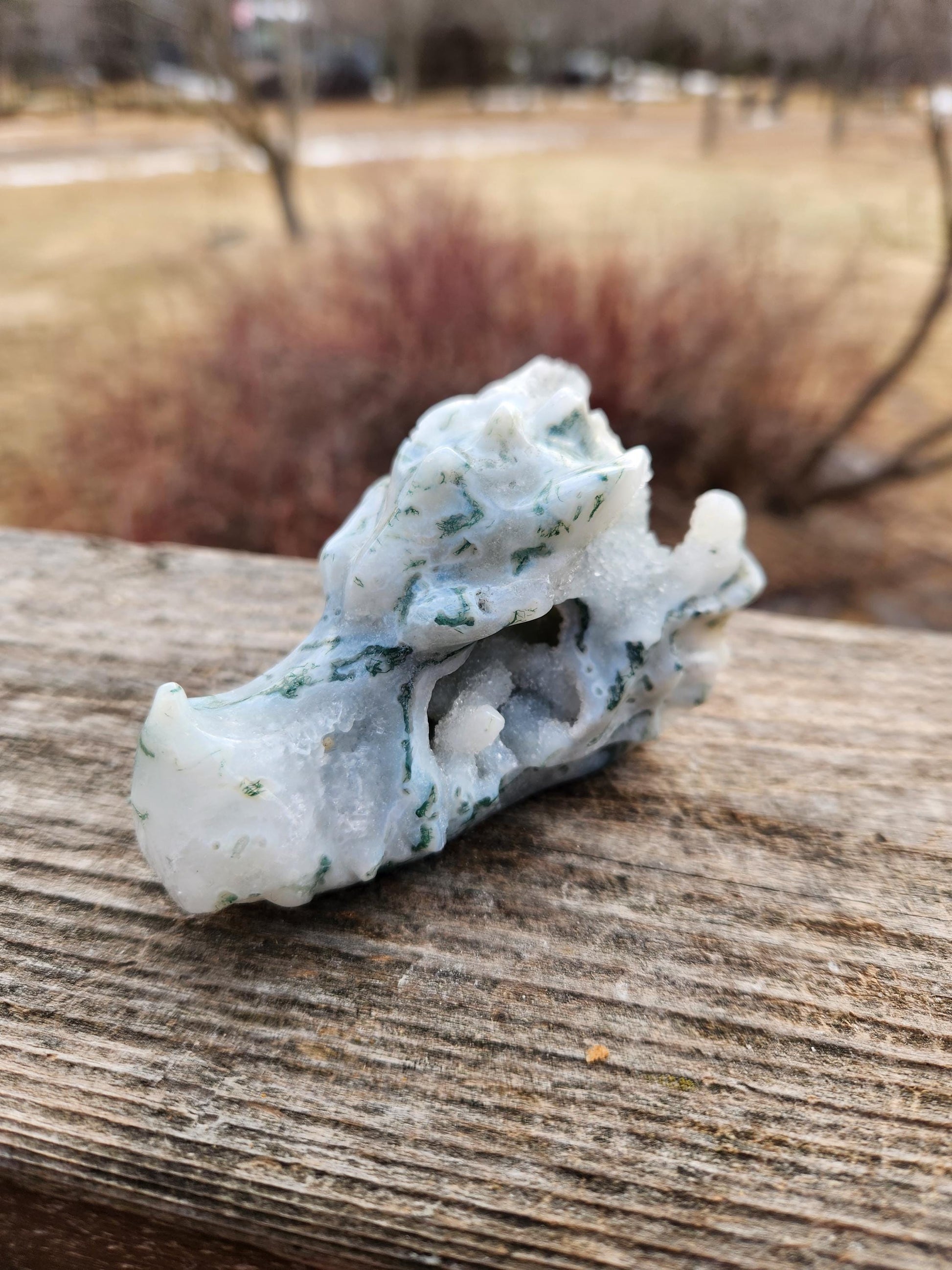 Beautiful AAA Natural Moss Agate Crystal Carved Dragon Head , DND
