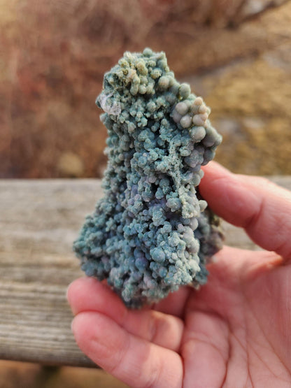Rare Grape Agate Crystal Specimen: Bi-Color Purple & Green Chalcedony