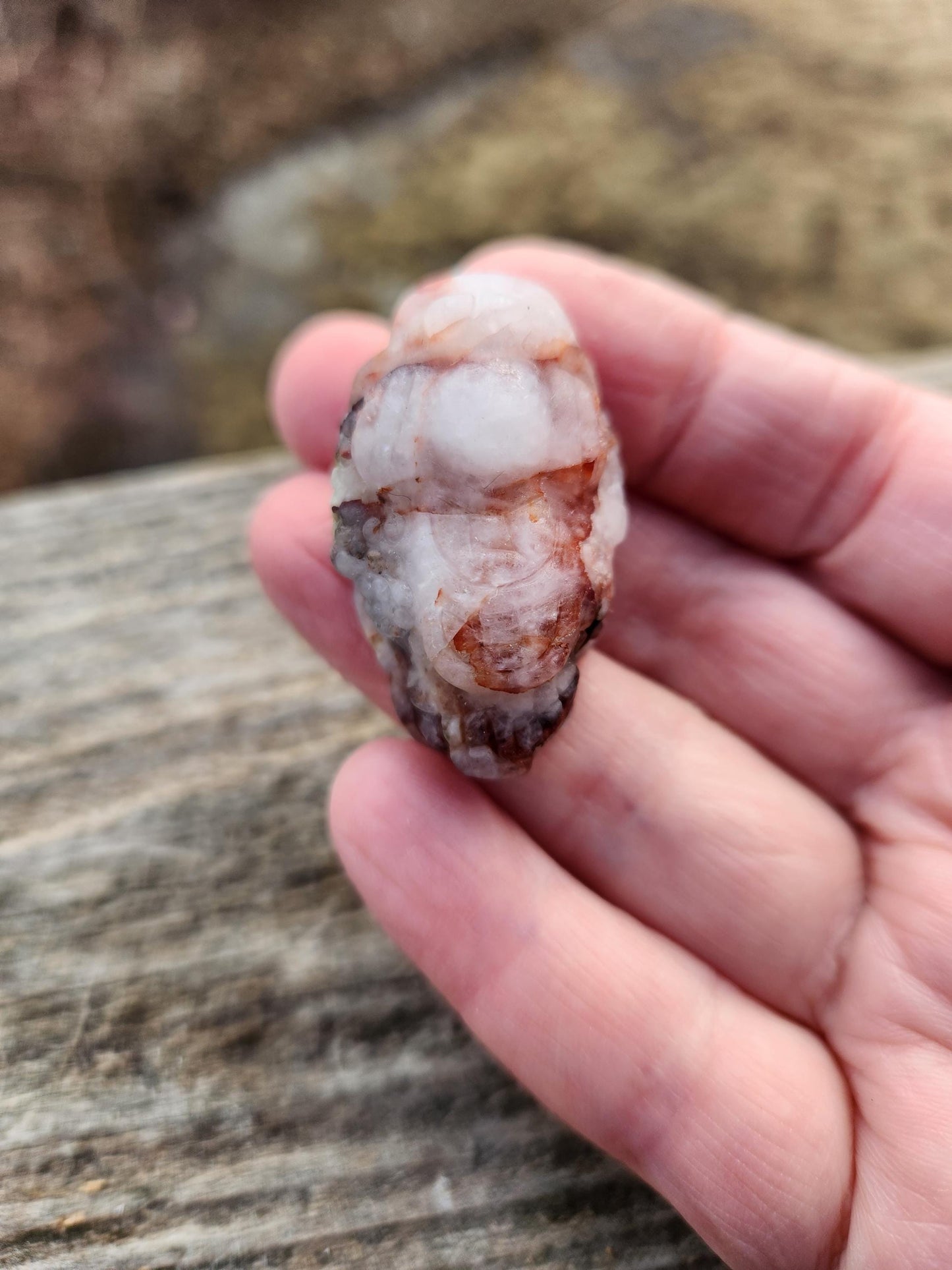 Pocket Sized Fire Quartz Crystal Money Toad All Natural, Extra Small