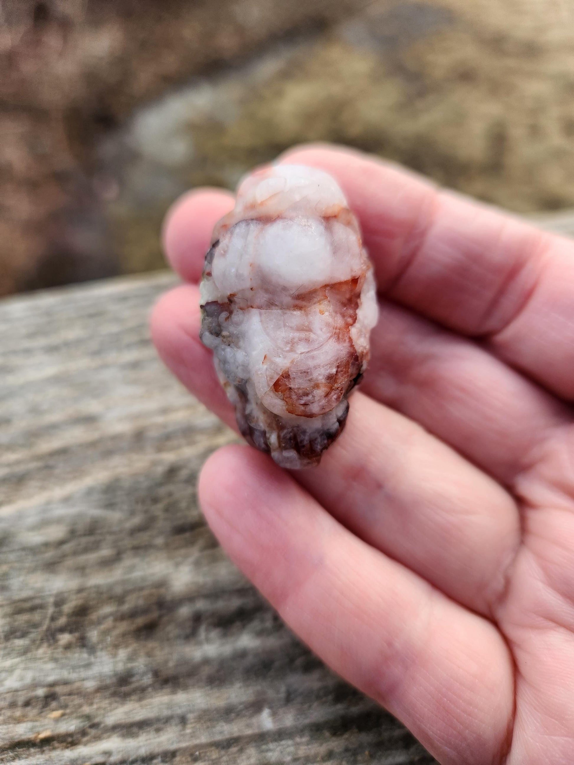 Pocket Sized Fire Quartz Crystal Money Toad All Natural, Extra Small