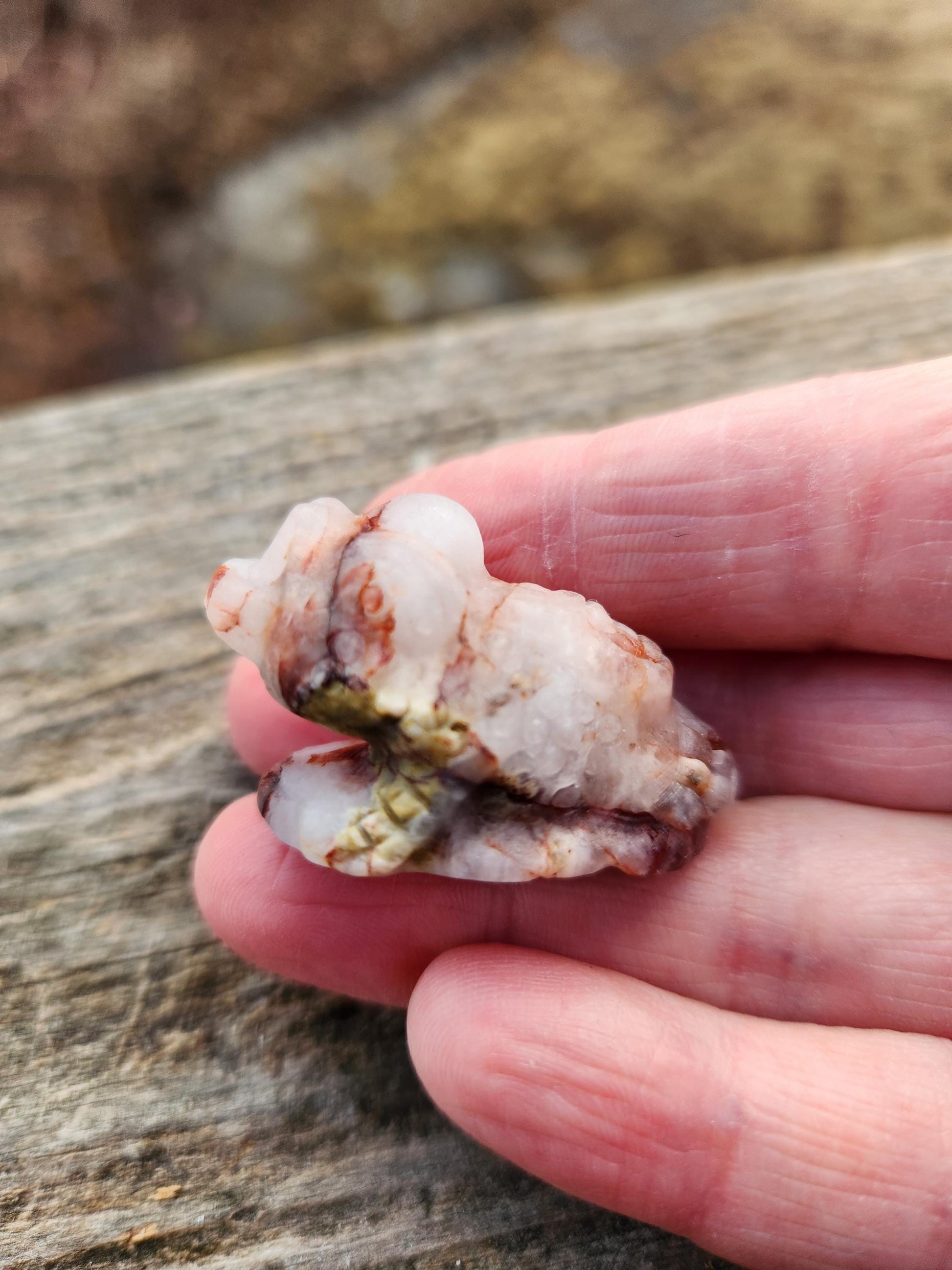 Pocket Sized Fire Quartz Crystal Money Toad All Natural, Extra Small