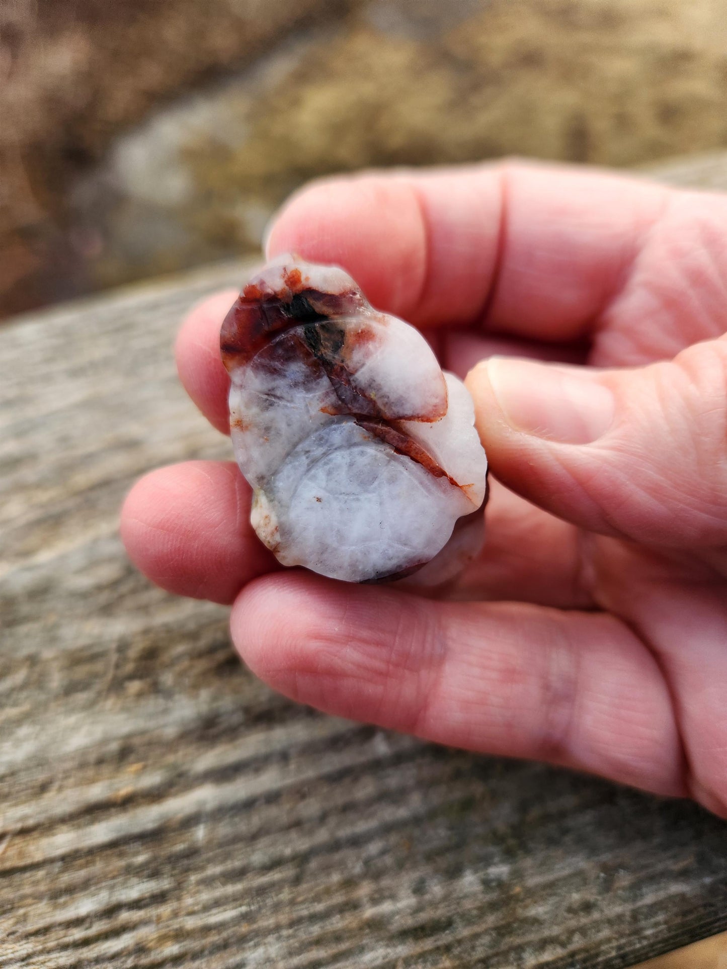 Pocket Sized Fire Quartz Crystal Money Toad All Natural, Extra Small