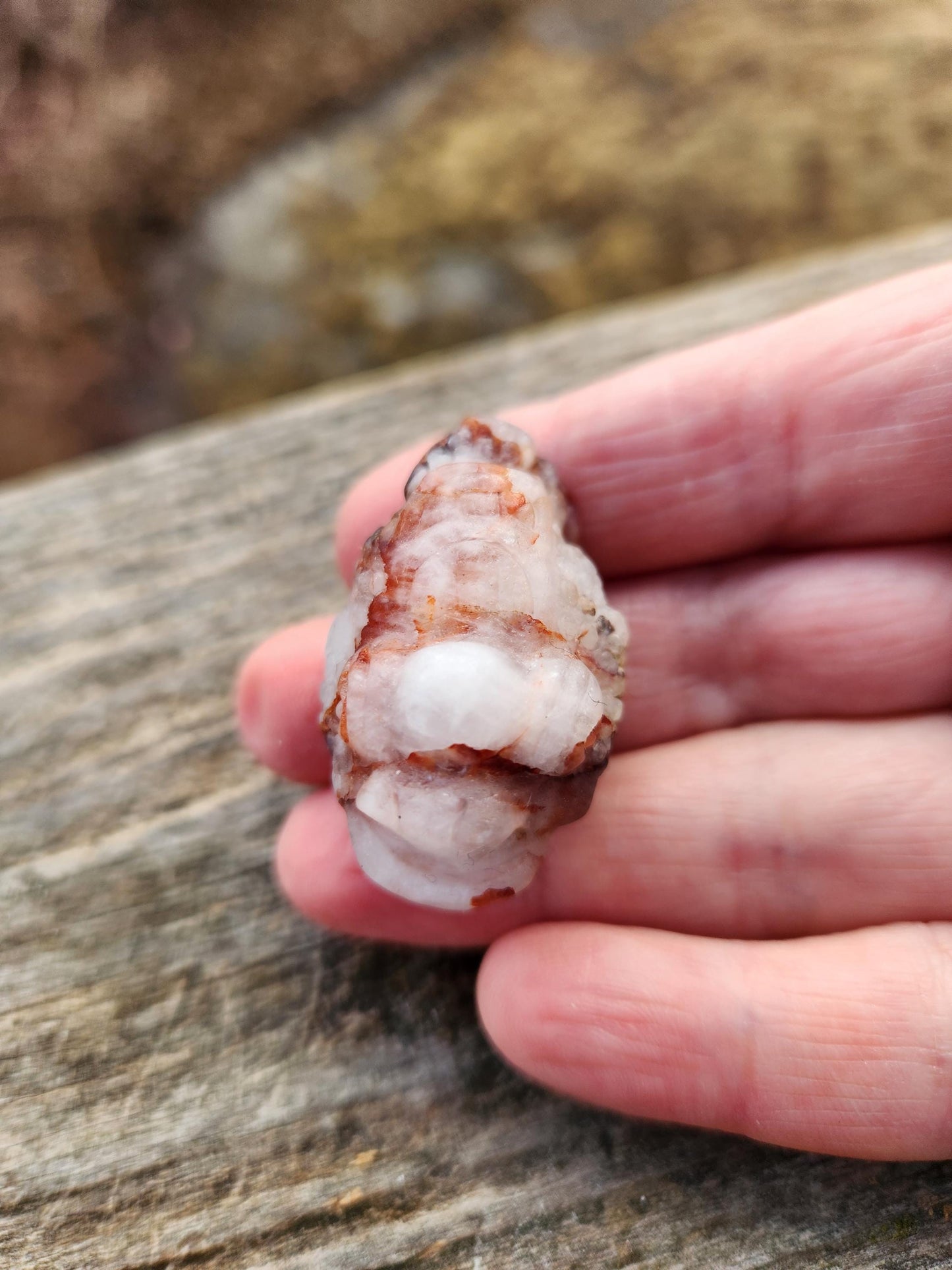 Pocket Sized Fire Quartz Crystal Money Toad All Natural, Extra Small
