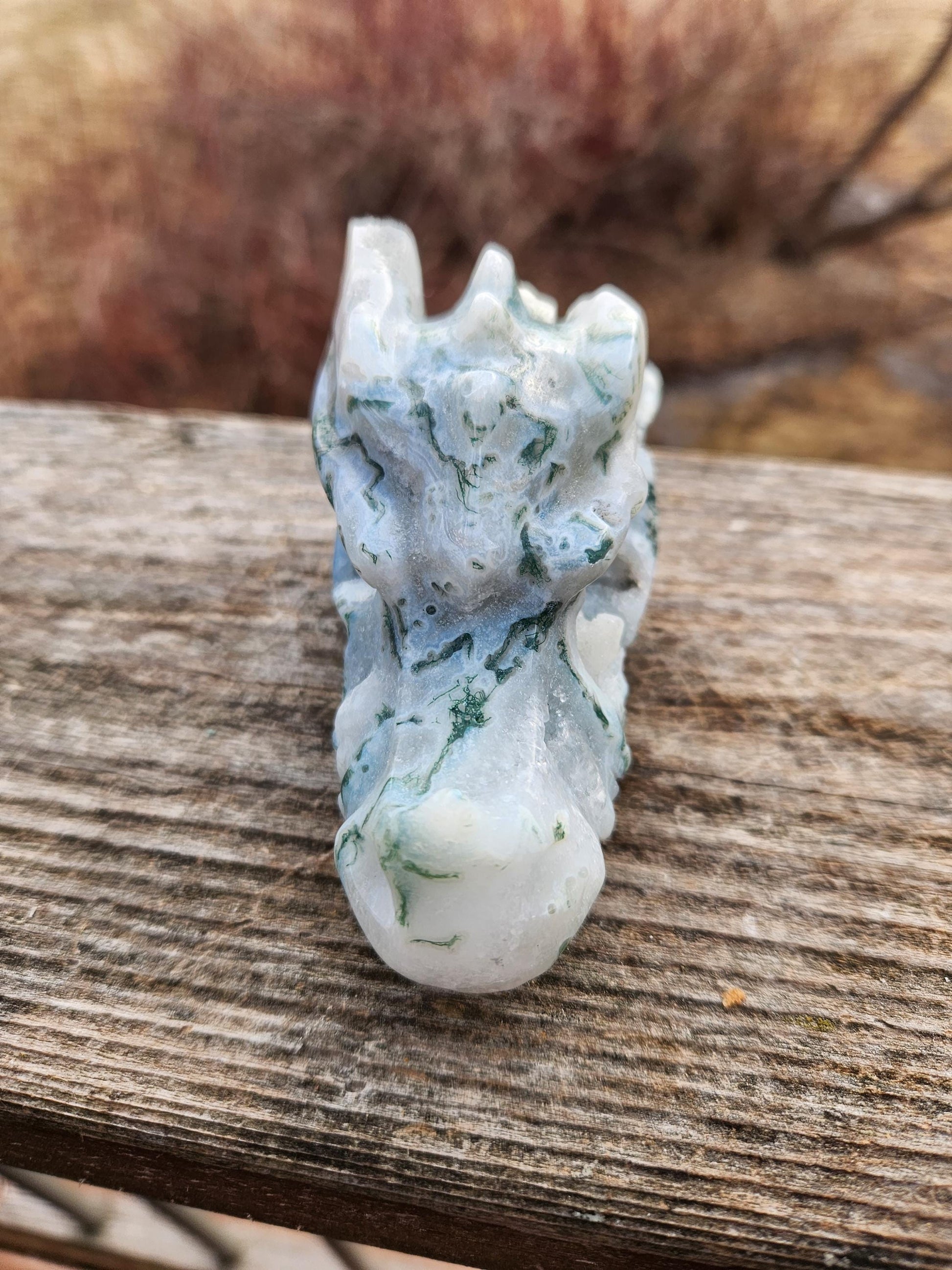 Beautiful AAA Natural Moss Agate Crystal Carved Dragon Head , DND