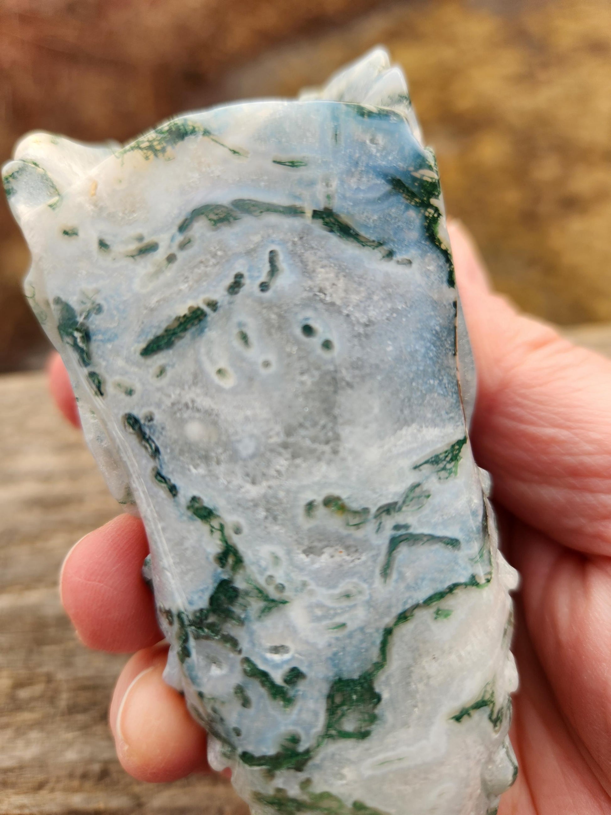 Beautiful AAA Natural Moss Agate Crystal Carved Dragon Head , DND
