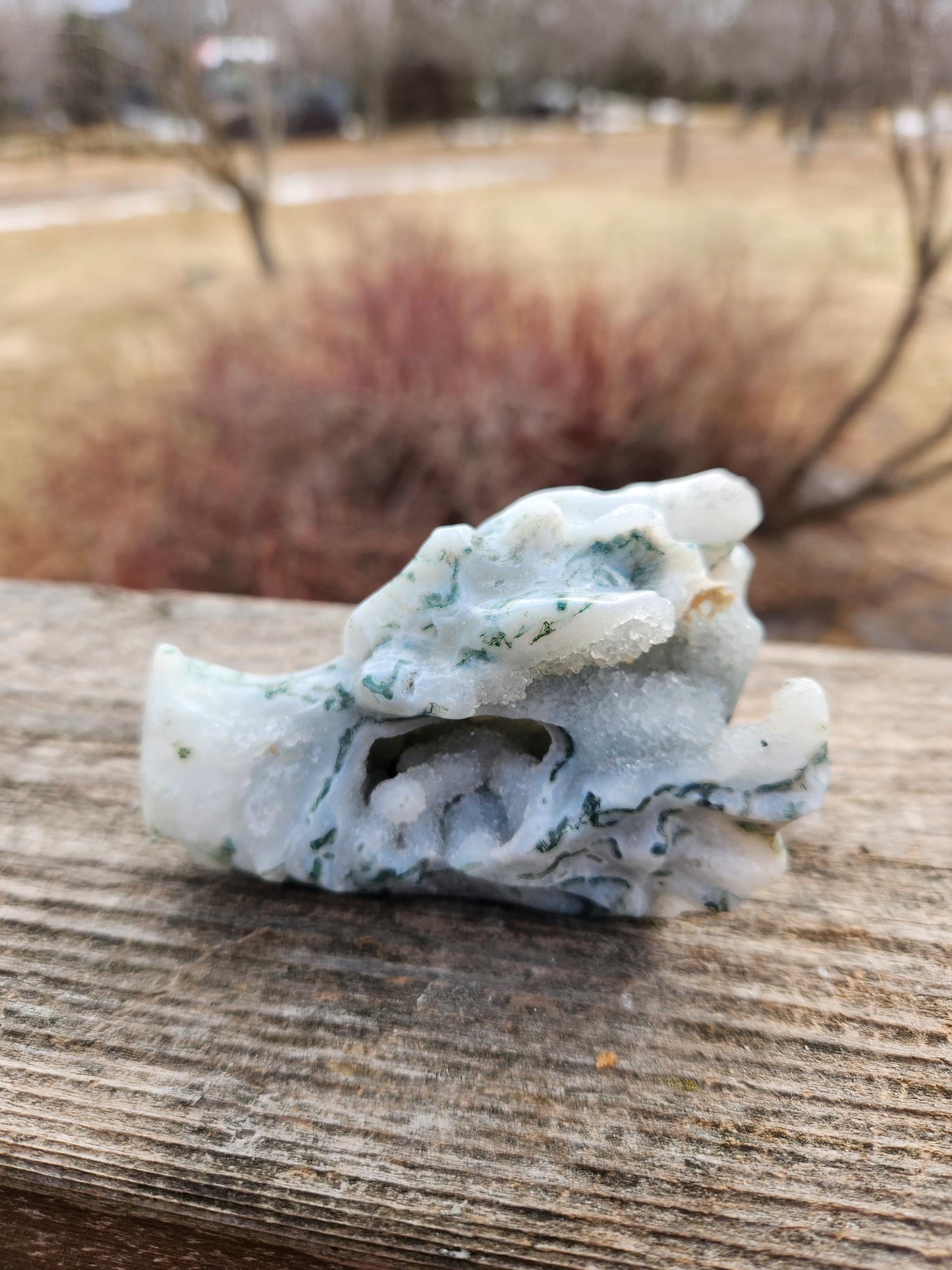 Beautiful AAA Natural Moss Agate Crystal Carved Dragon Head , DND