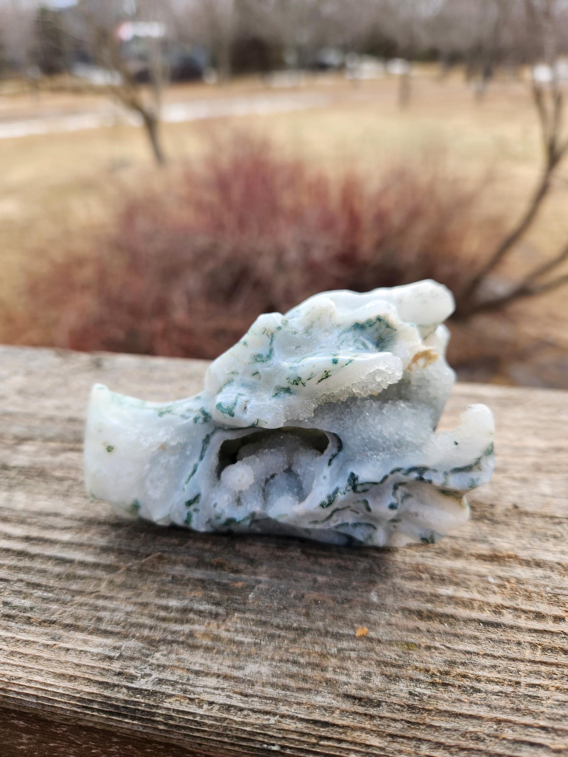 Beautiful AAA Natural Moss Agate Crystal Carved Dragon Head , DND