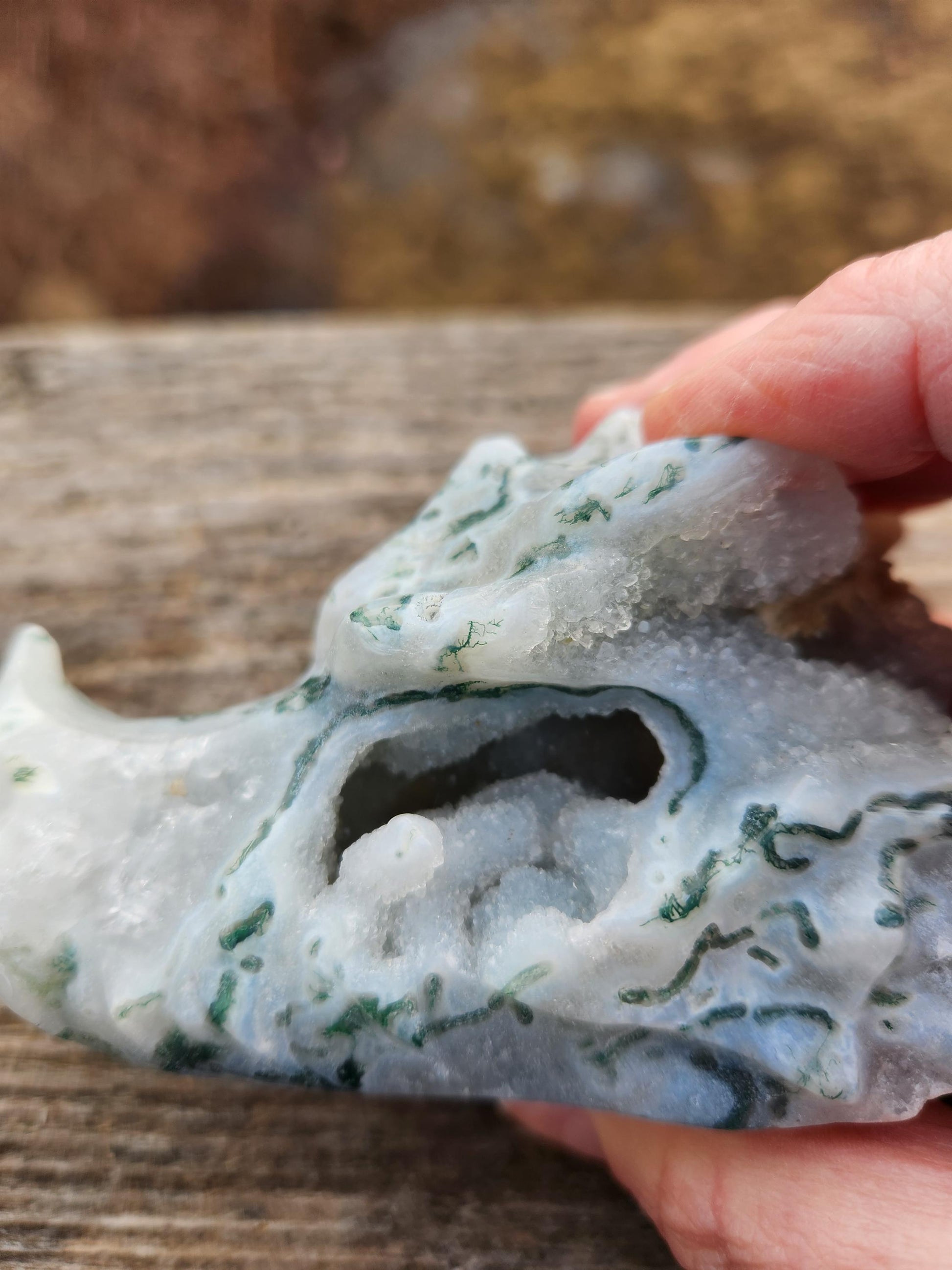 Beautiful AAA Natural Moss Agate Crystal Carved Dragon Head , DND