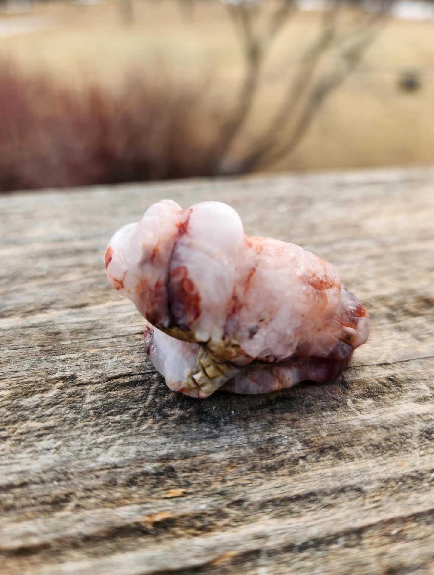 Pocket Sized Fire Quartz Crystal Money Toad All Natural, Extra Small