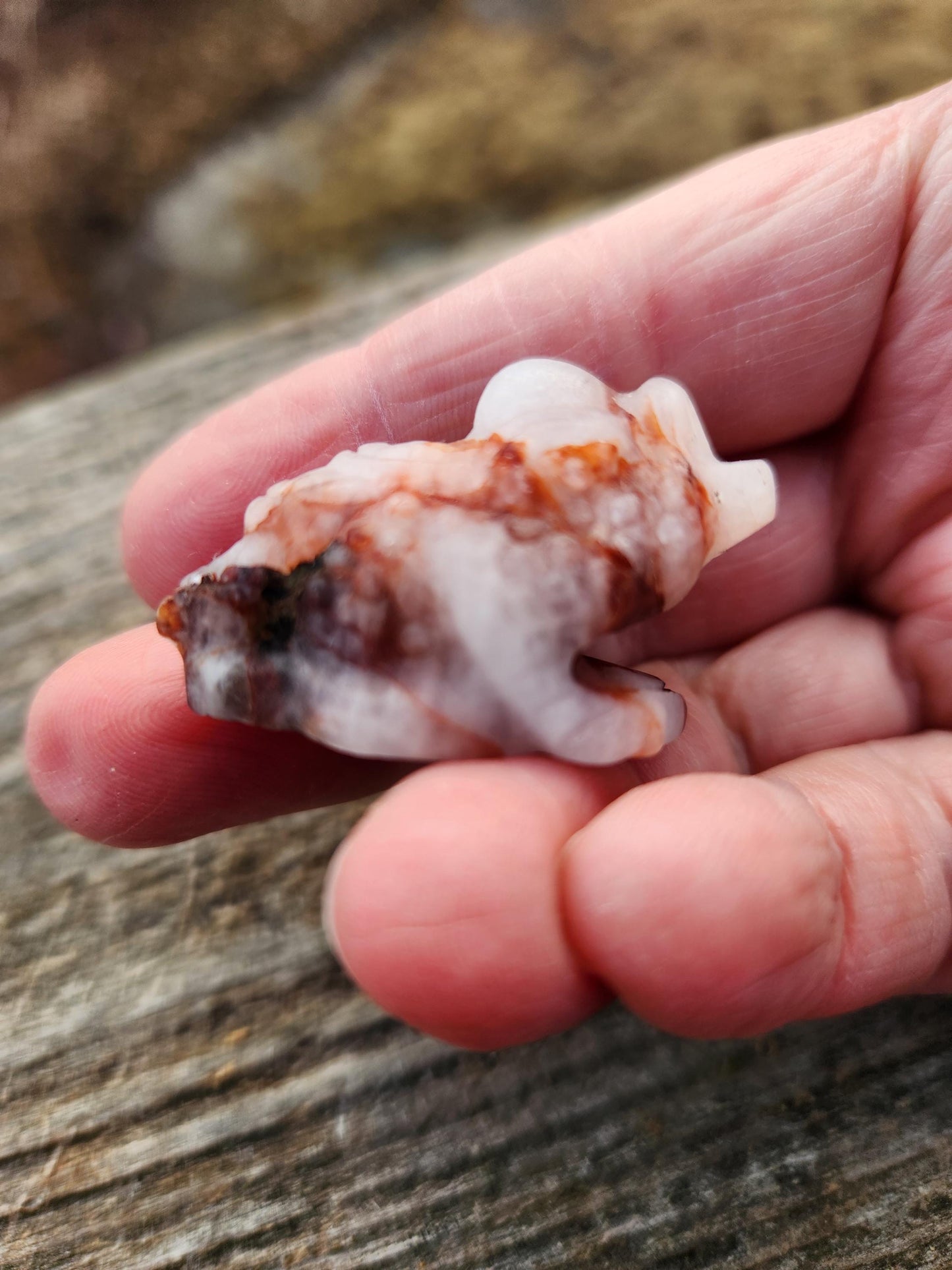 May include: A white and red agate carved into the shape of a frog.
