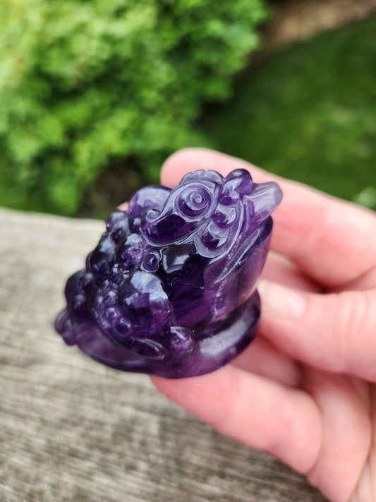 Gorgeous AAA Dark Ametrine Crystal Money Toad All Natural, Small
