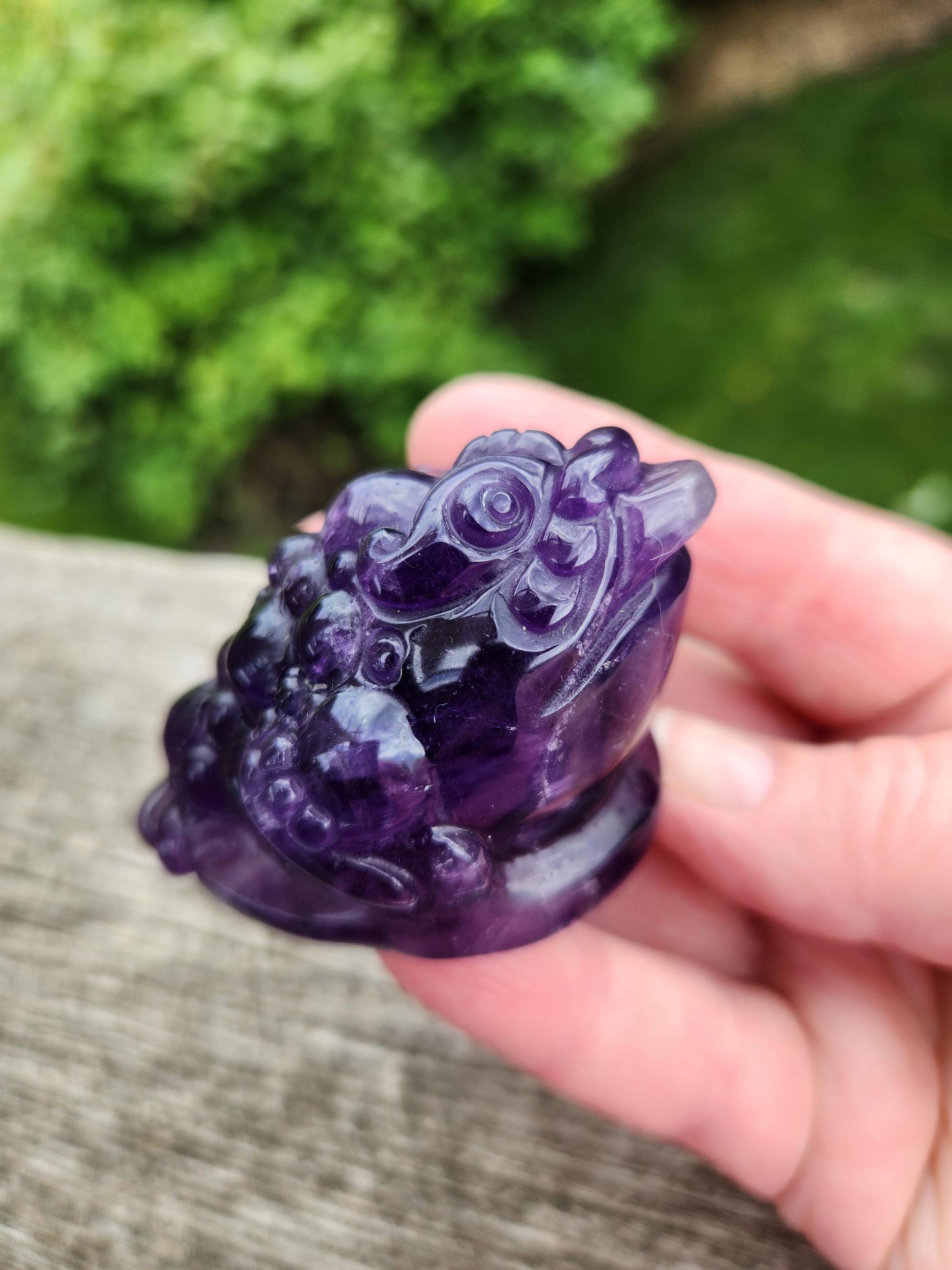 AAA Dark Ametrine Crystal Money Toad: Master Carved, All Natural