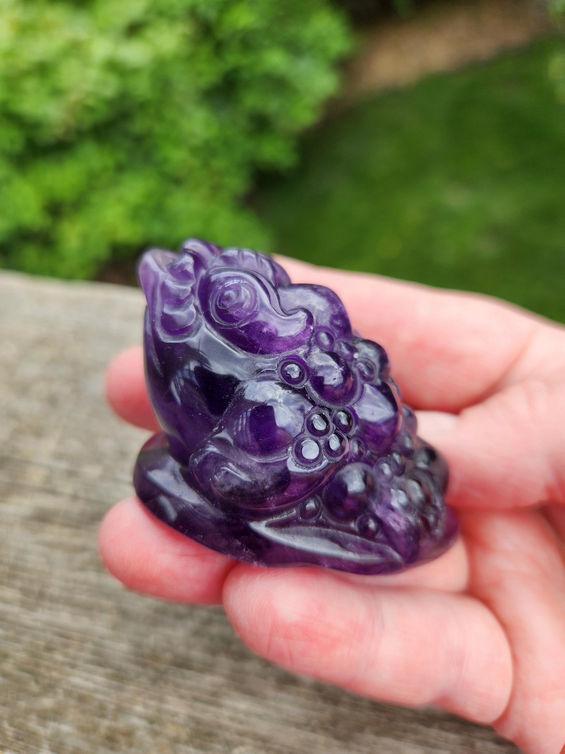 Gorgeous AAA Dark Ametrine Crystal Money Toad All Natural, Small