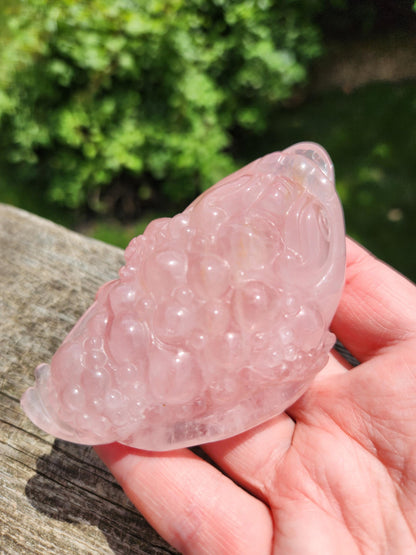 Rose Quartz Money Toad with Golden Healer Crystal Carving