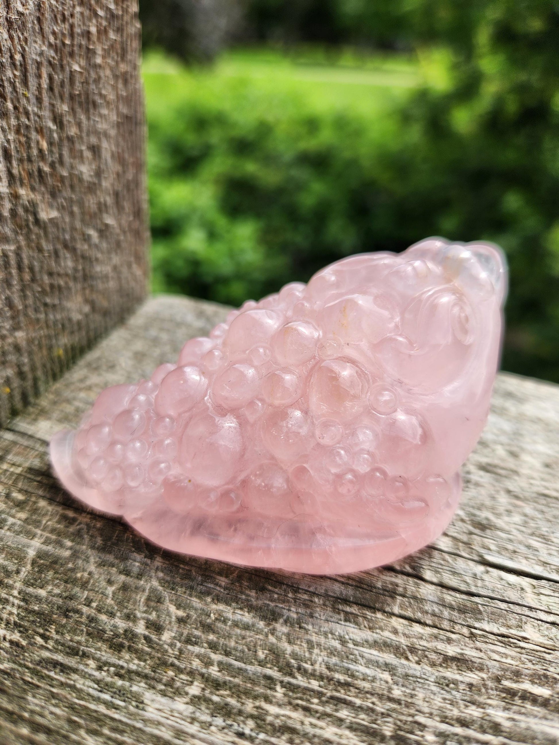 Gorgeous AAA Rose Quartz with Golden Healer Crystal Money Toad All Natural, Large, Unique