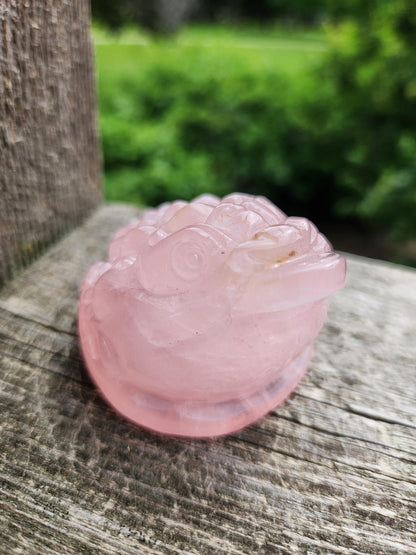Rose Quartz Money Toad with Golden Healer Crystal Carving