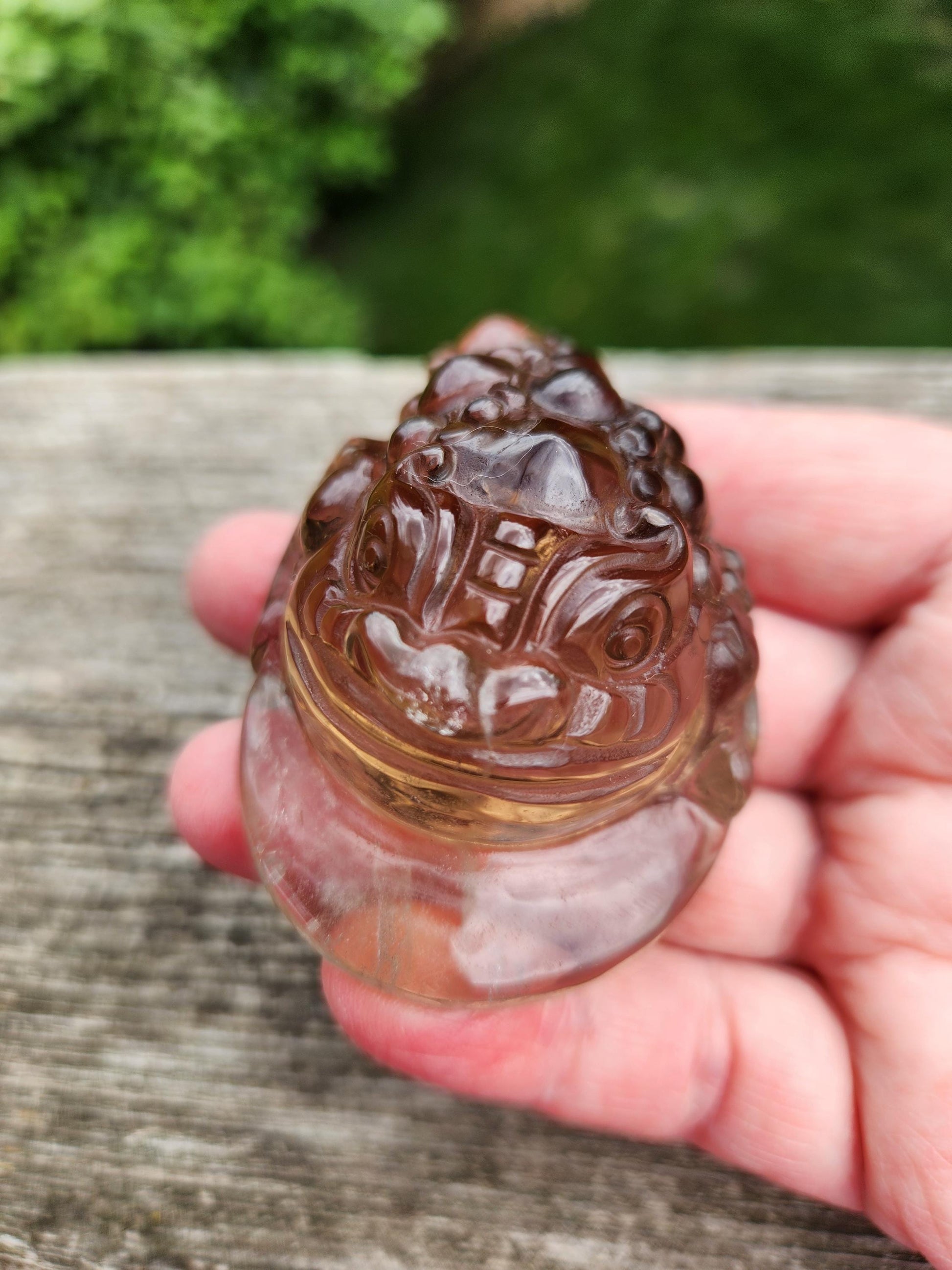 Gorgeous AAA Dark Smoky Quartz Crystal Money Toad All Natural