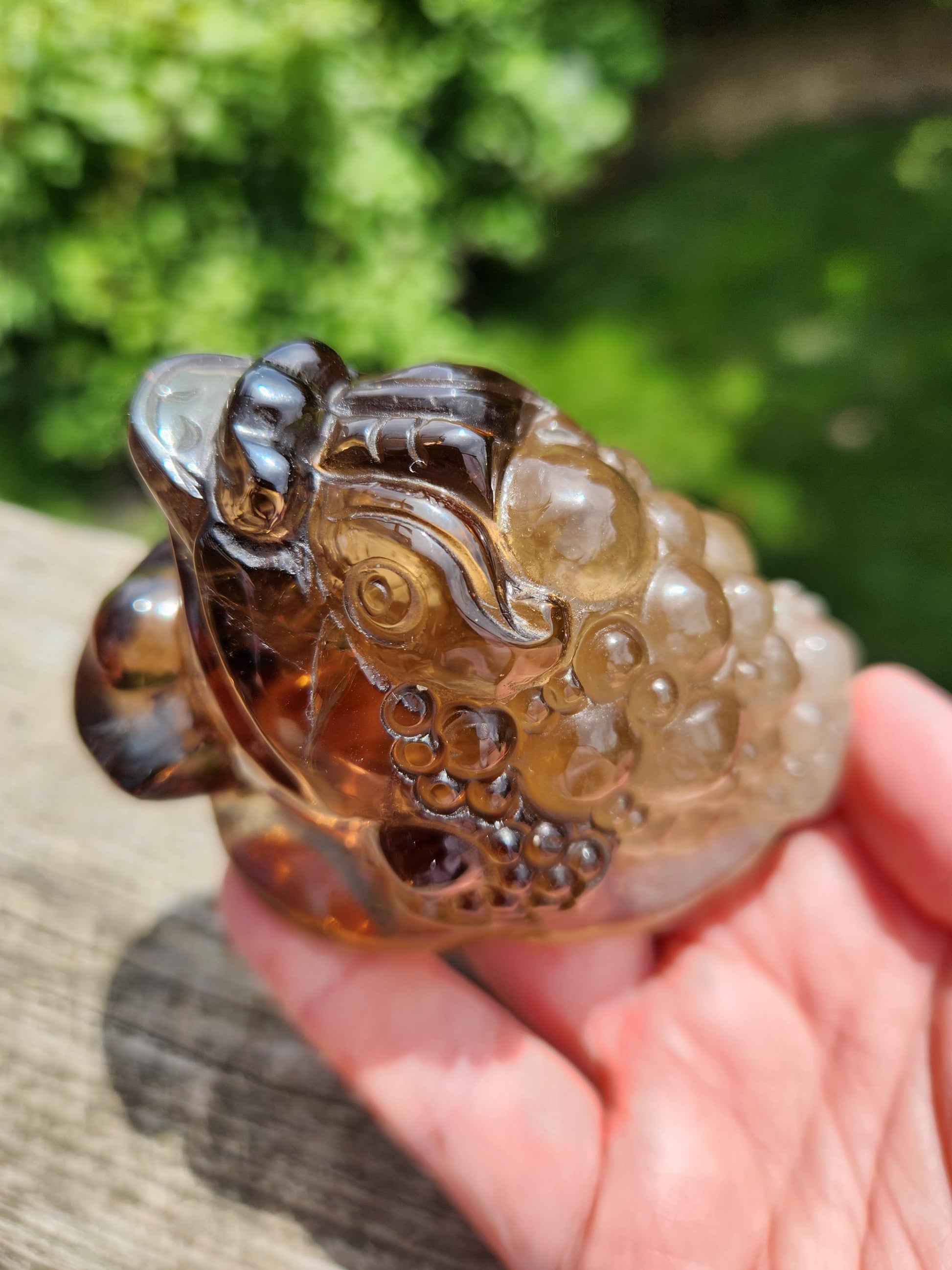 Gorgeous AAA Dark Smoky Quartz Crystal Money Toad All Natural, Extra Large, Unique, Light to Dark