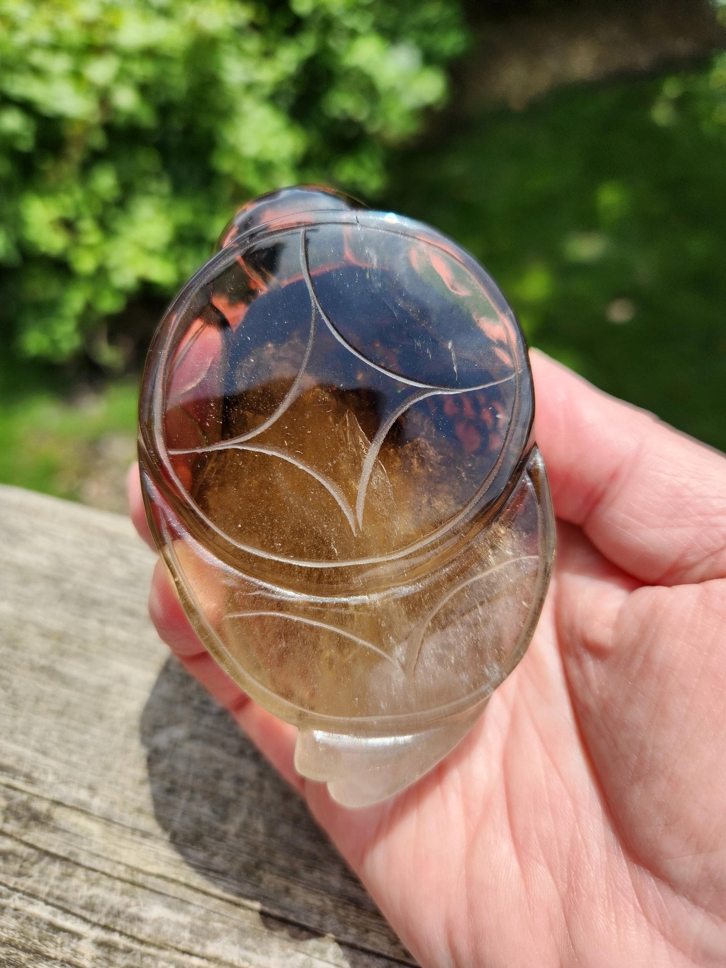 Smoky Quartz Money Toad: AAA Crystal Carving, Extra Large