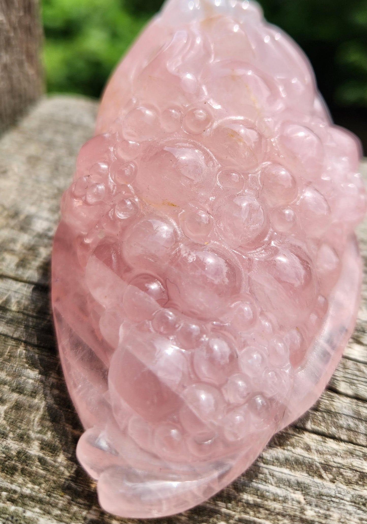 Gorgeous AAA Rose Quartz with Golden Healer Crystal Money Toad All Natural, Large, Unique