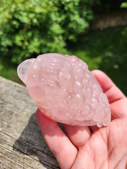 Rose Quartz Money Toad with Golden Healer Crystal Carving