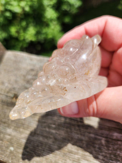 Golden Healer Quartz AAA Money Toad with Rutile: Master Carved Crystal, Large