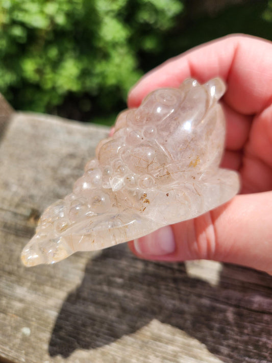 Gorgeous AAA Golden Healer Quartz with Golden Rutile Crystal Money Toad All Natural, Large, So Rare!