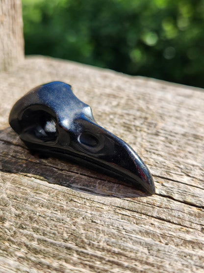 Carved Black Obsidian Raven Skull: Pocket Crystal Carving, One
